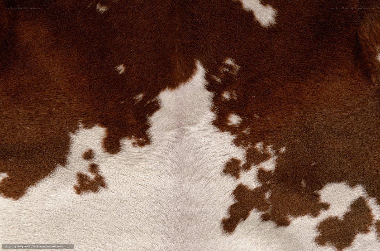 brown and white cowhide texture