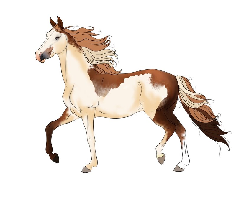 brown and white horse