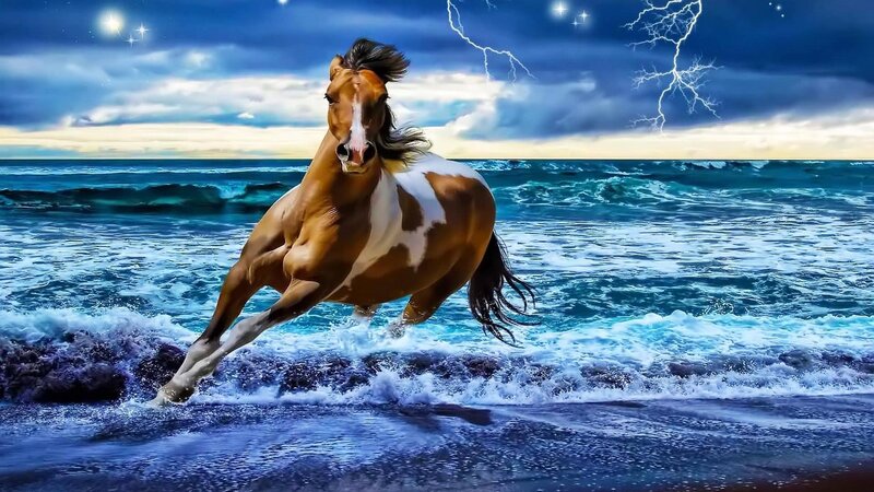 Brown and White Horse — Blue, Dramatic, Night, Digital Art, Ocean