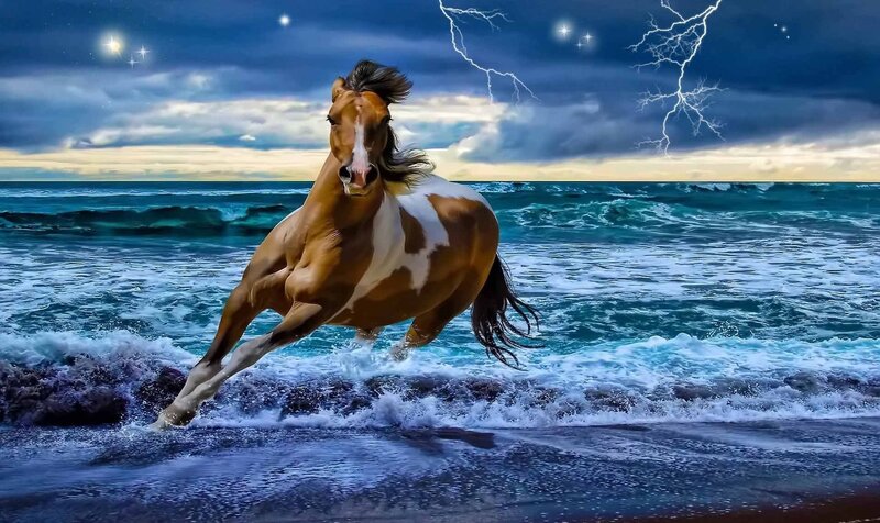 Brown and White Horse — Blue, Dramatic, Night, Digital Art