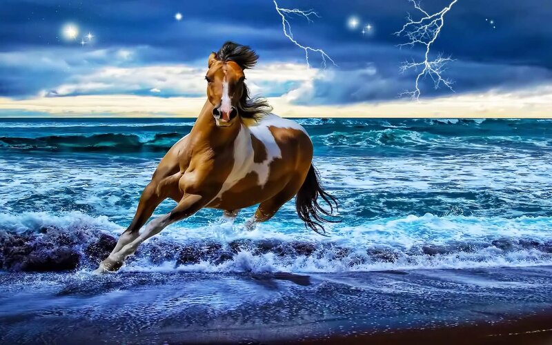 Brown and White Horse — Blue, Dramatic