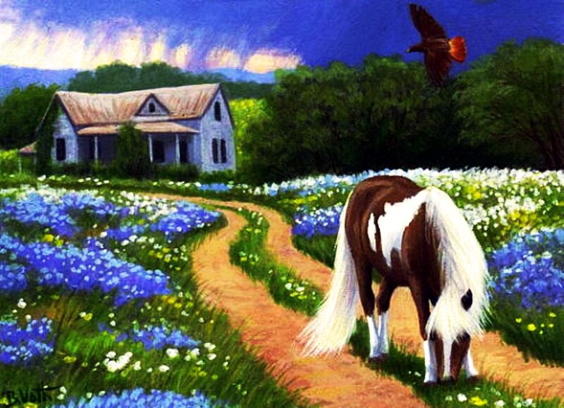 Brown and White Horse — Blue, Serene