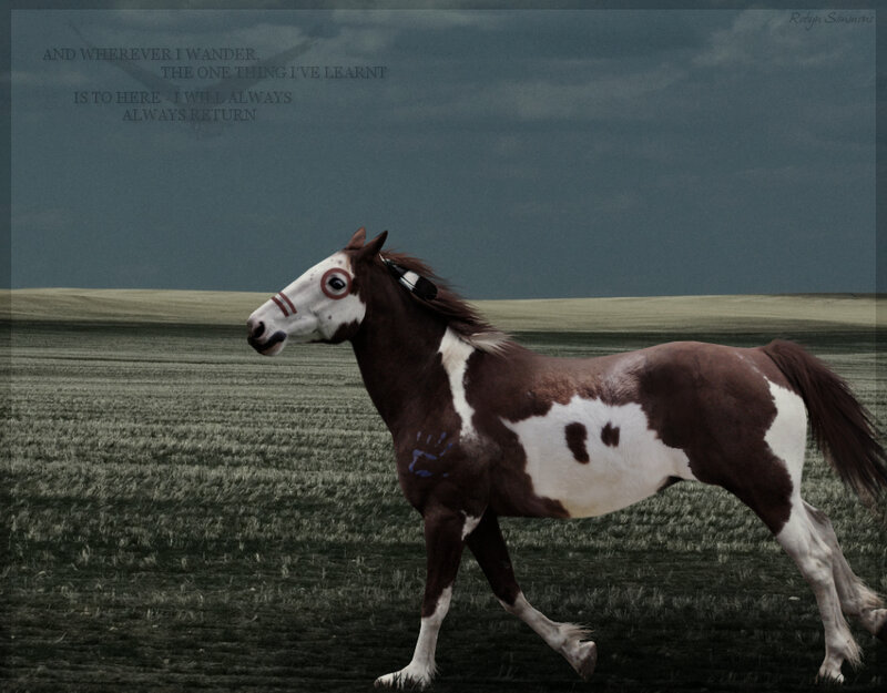 Brown and White Horse — Dramatic, Digital Art