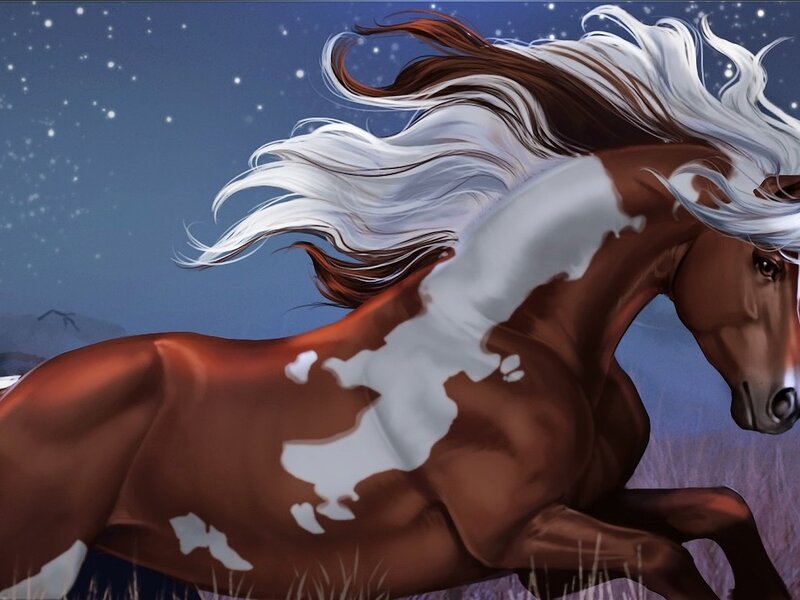 Brown and White Horse — Dramatic, Night