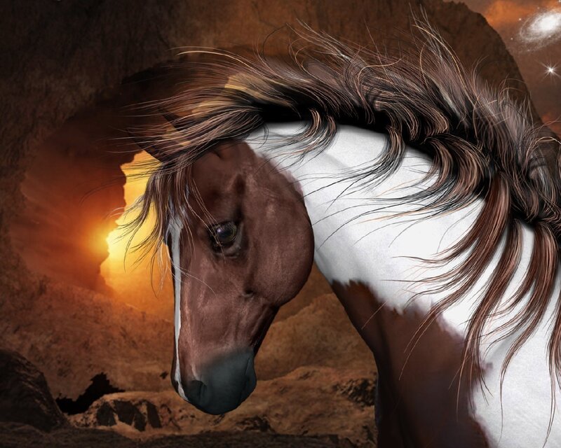 Brown and White Horse — Dramatic, Sunrise