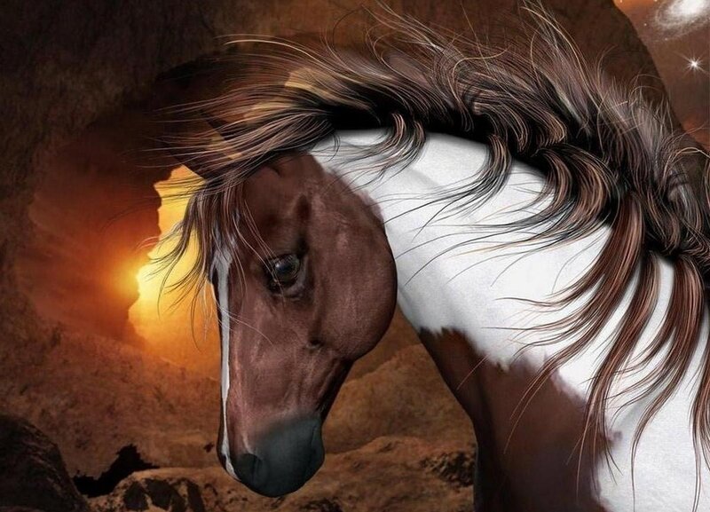 Brown and White Horse — Dramatic, Sunset