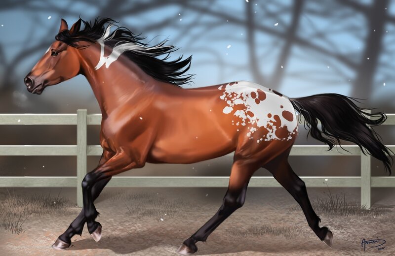 Brown and White Horse — Dynamic, Winter, Digital Art