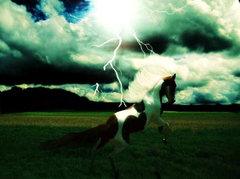 Brown and White Horse — Green, Dramatic, Night