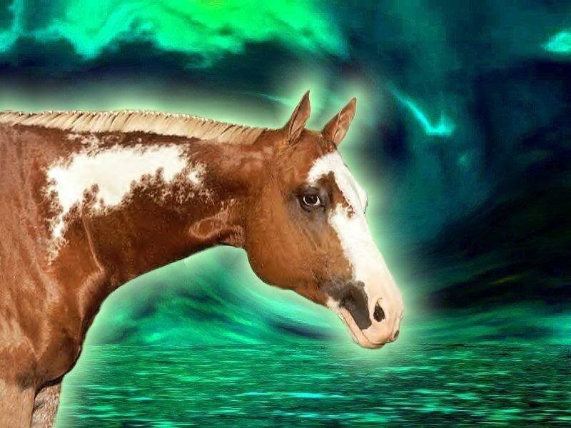 Brown and White Horse — Green, Dramatic