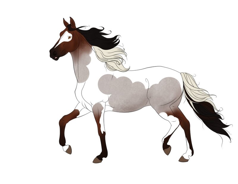 brown and white horse illustration
