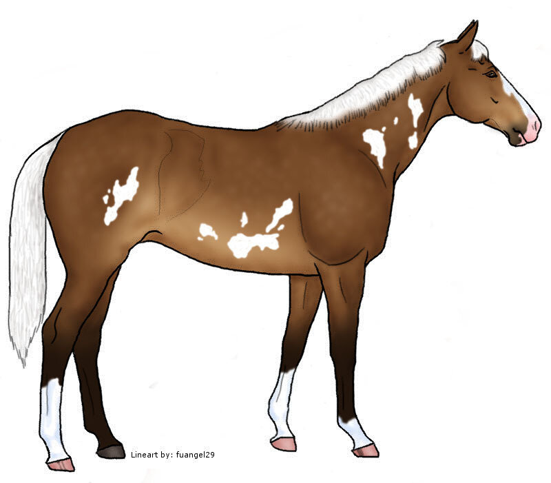 Brown and White Horse — Neutral, Digital Art