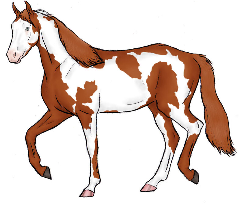 Brown and White Horse — Neutral