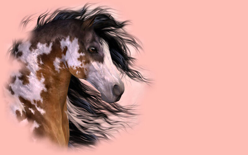 Brown and White Horse — Pink