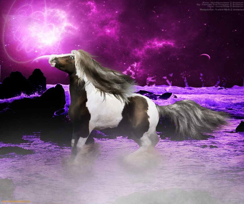 Brown and White Horse — Purple