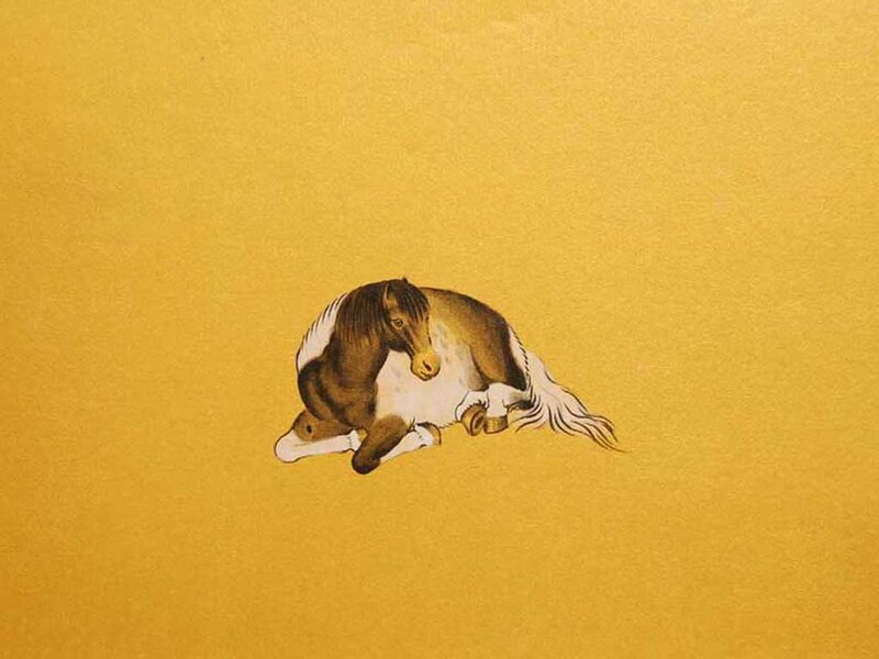 Brown and White Horse — Yellow