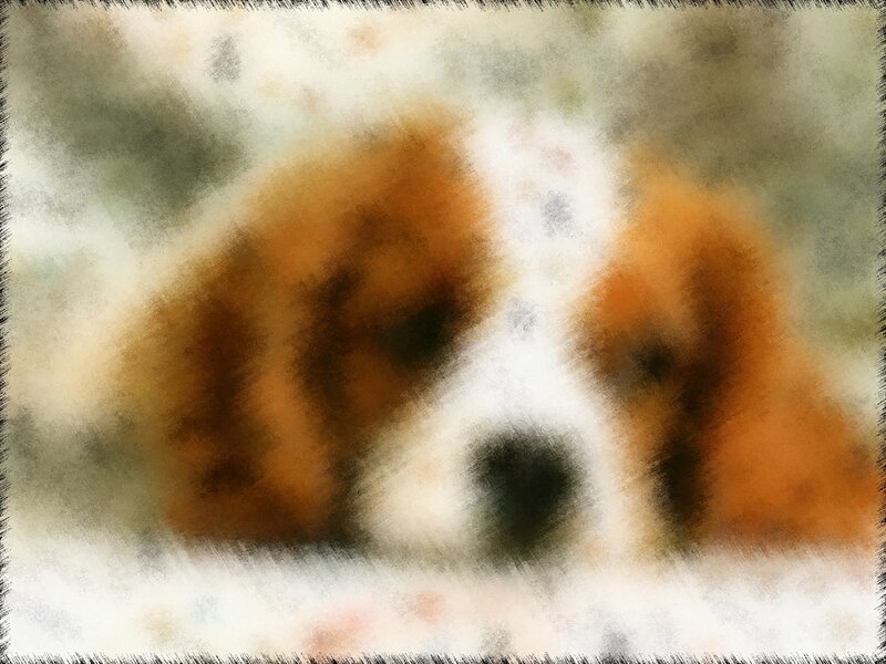 Brown and White Puppy — Calm, Painting