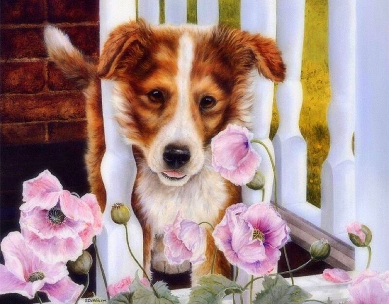 Brown and White Puppy — Pink, Calm