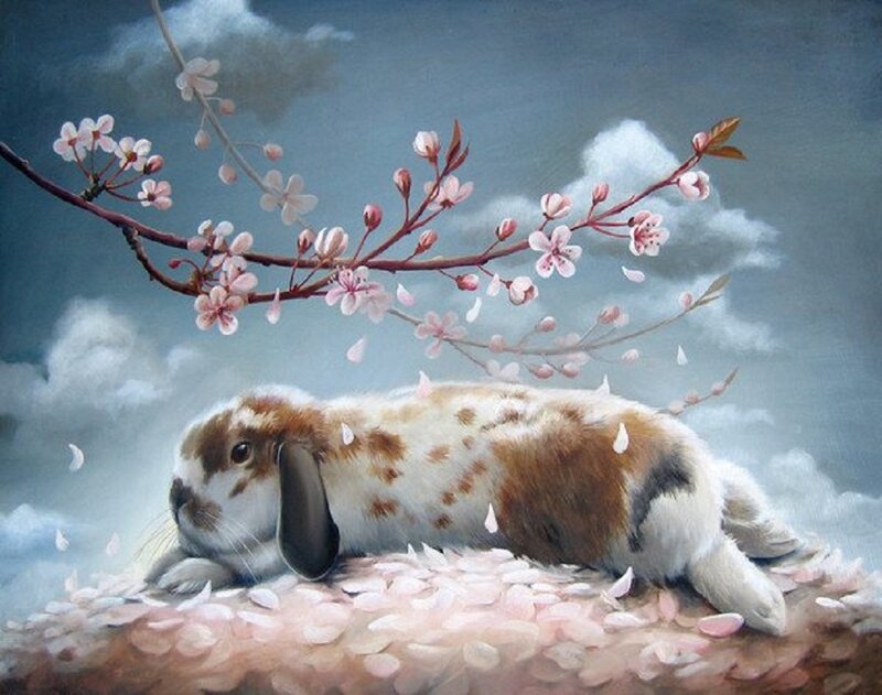 Brown and White Rabbit — Serene, Spring