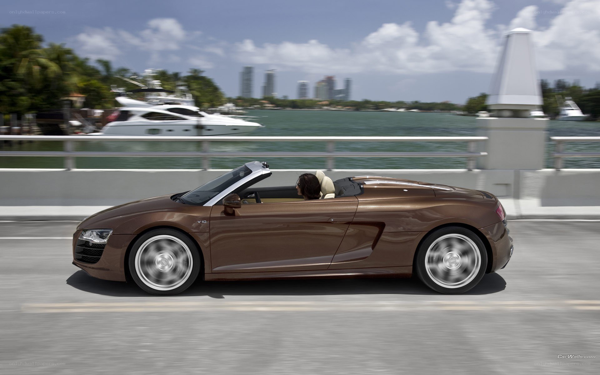 Brown Audi R8 convertible driving