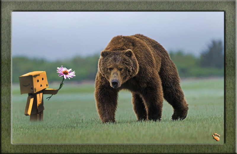 Brown Bear and Cardboard Robot