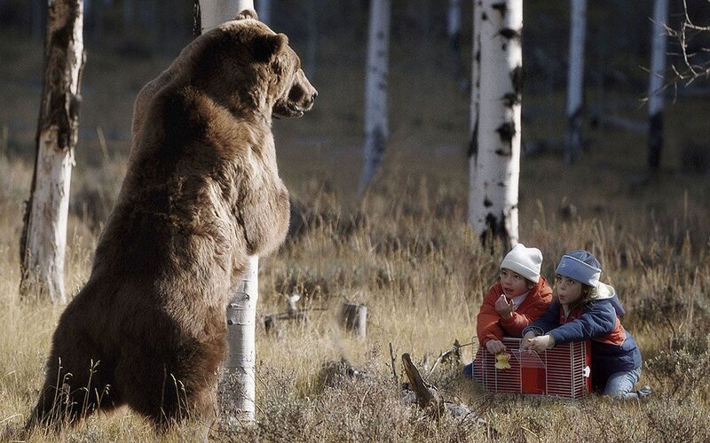 Brown Bear and Children — Dramatic, Afternoon