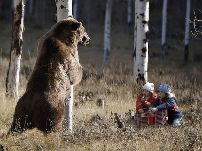 Brown Bear and Children