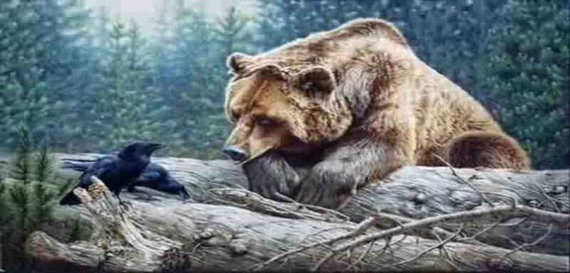 Brown Bear and Crow