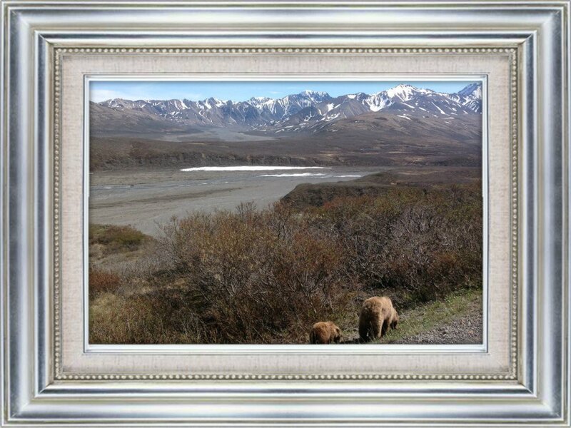 Brown Bear and Cub — Natural, Summer