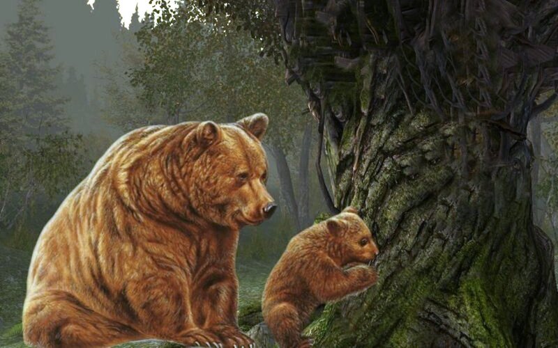 Brown Bear and Cub — Serene