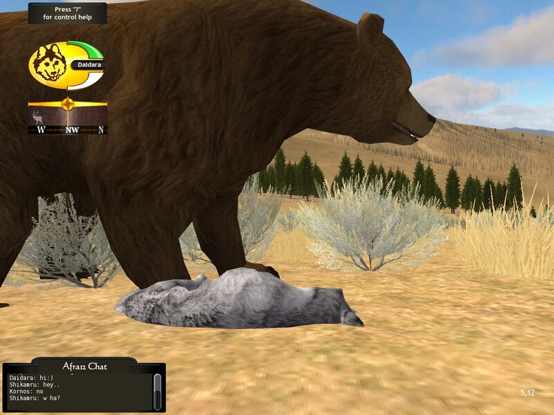 Brown Bear and Wolf