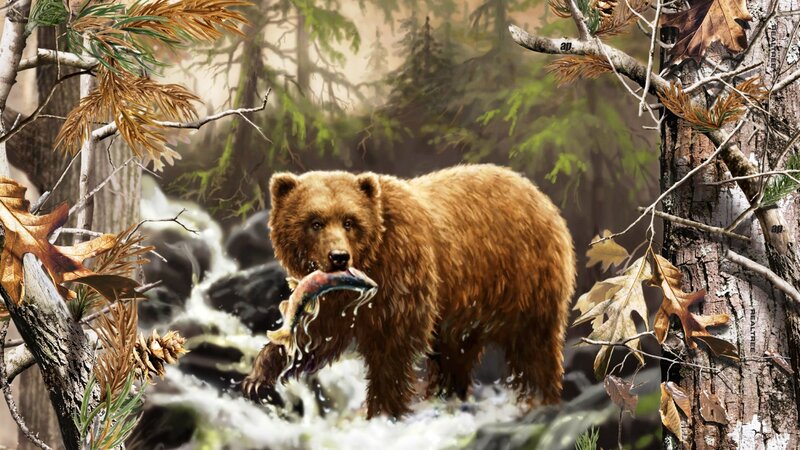 Brown Bear Catching Fish — Natural