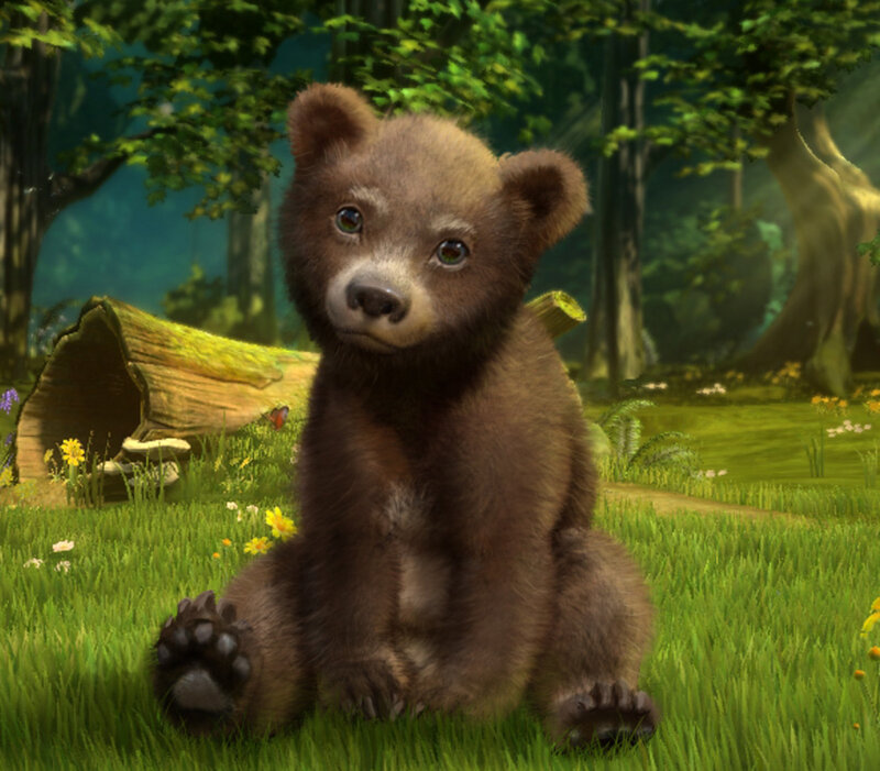 Brown Bear Cub — Green, Serene, Afternoon