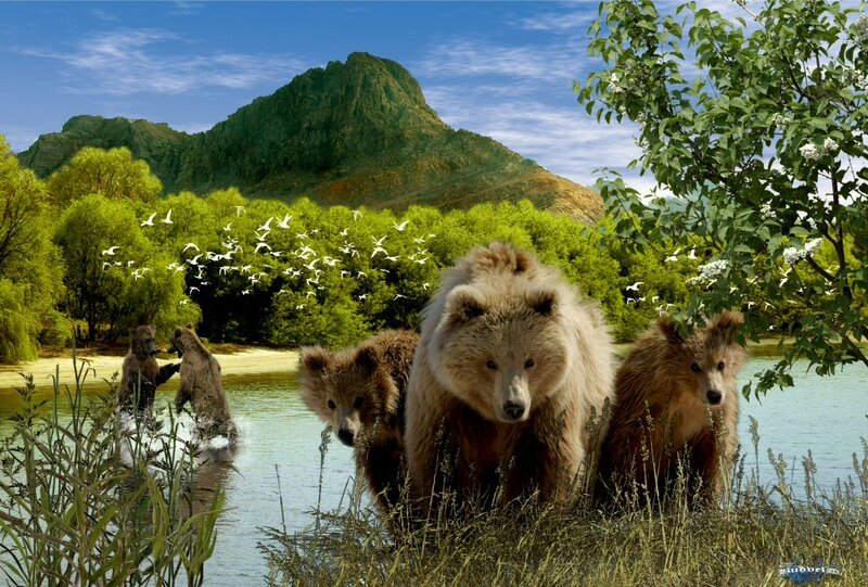 Brown Bear Family — Green, Serene