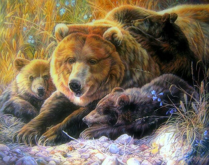 Brown Bear Family — Serene, Afternoon