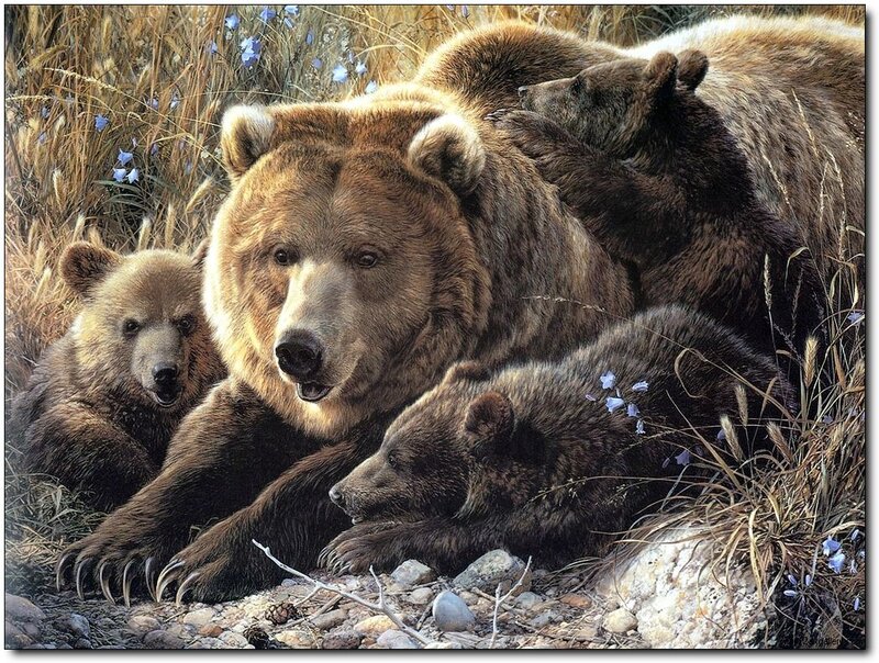 Brown Bear Family — Serene, Autumn
