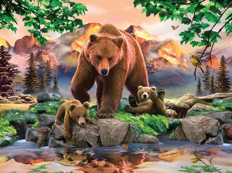 Brown Bear Family — Serene, Sunset