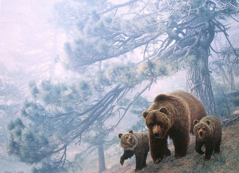 Brown Bear Family — Serene