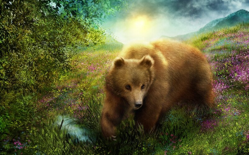 Brown Bear in Field — Green, Serene