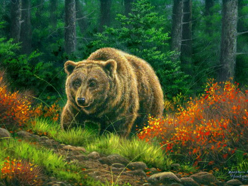 Brown Bear in Forest — Green, Natural, Autumn