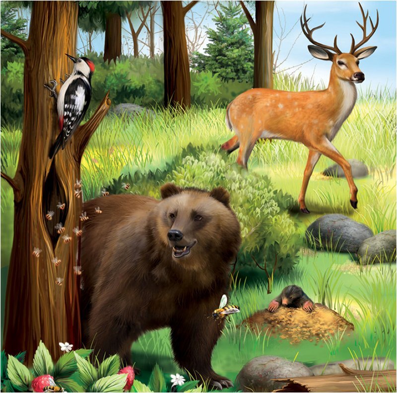 Brown Bear in Forest — Green, Peaceful
