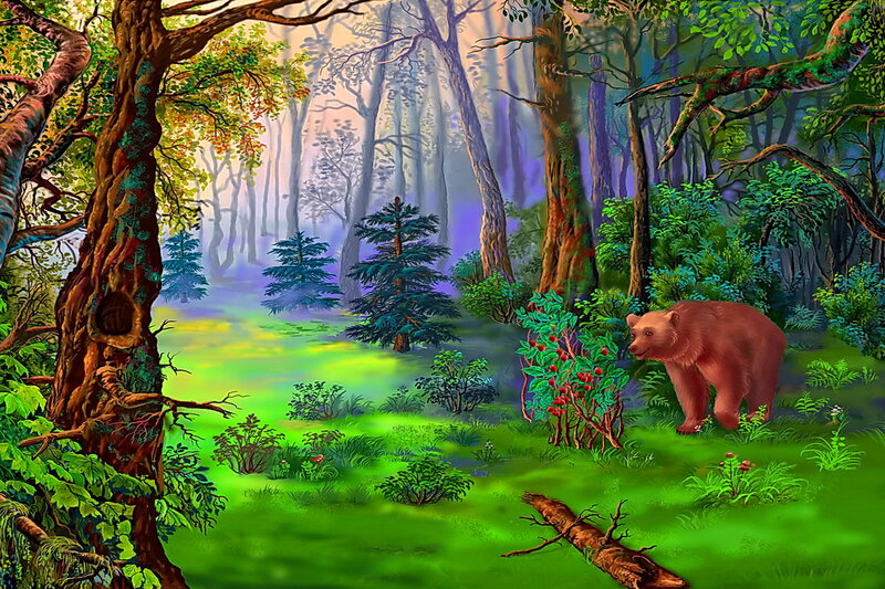 Brown Bear in Forest — Green, Serene