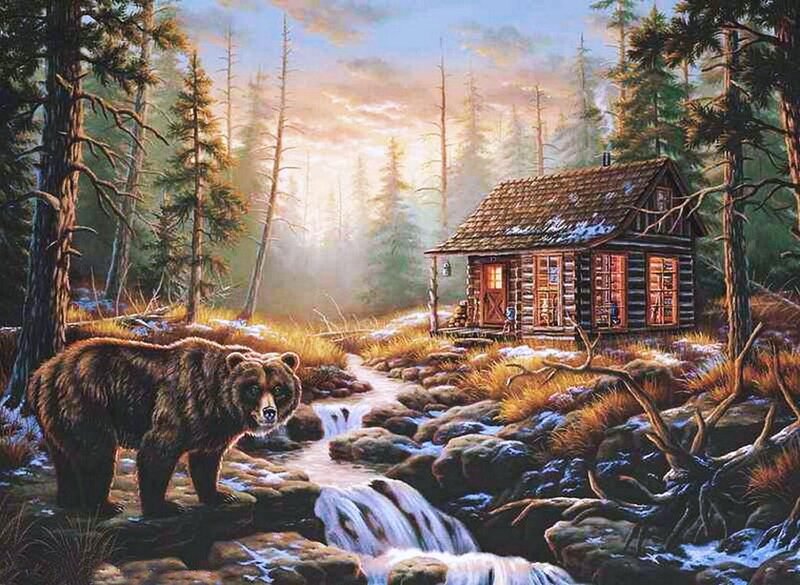 Brown Bear in Forest — Serene