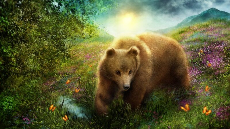 Brown Bear in Meadow
