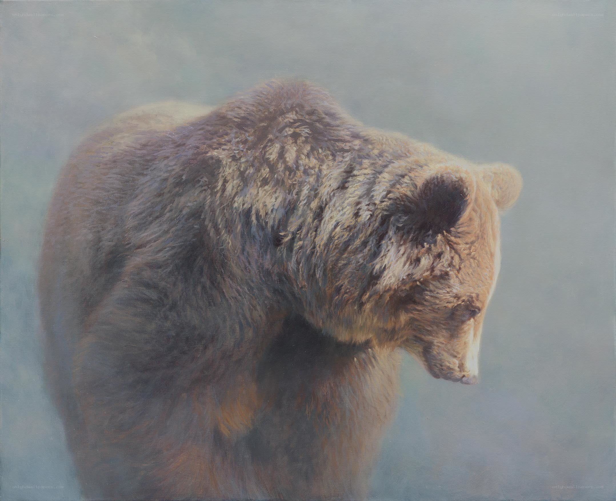 Brown bear in mist