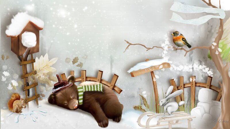 Brown Bear in Snow — White, Peaceful