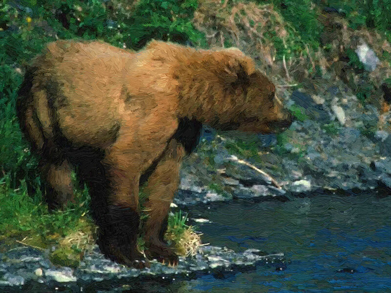 Brown Bear in Stream — Green, Natural