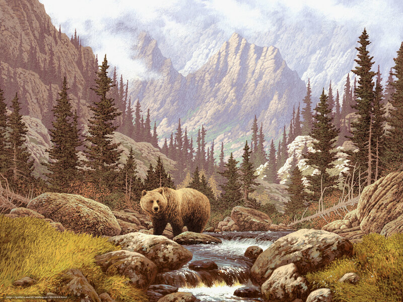 Brown Bear in Stream — Serene, Afternoon, Illustration