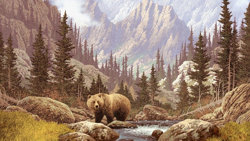 Brown Bear in Stream — Serene, Afternoon