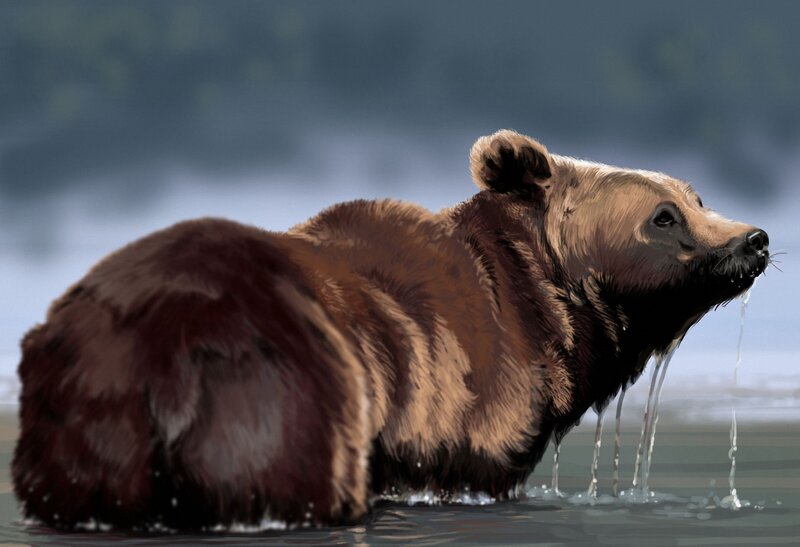 Brown Bear in Water — Dramatic