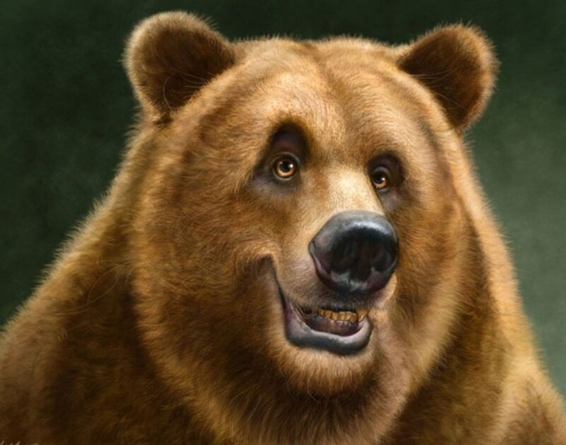 Brown Bear Portrait — Intense